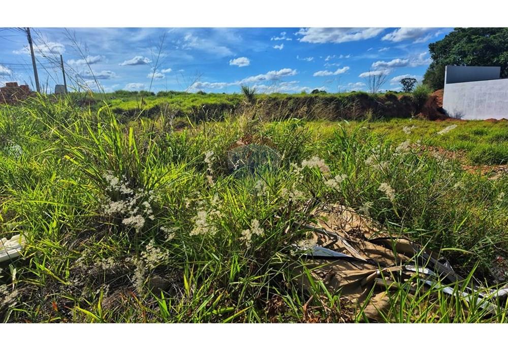 Terreno - Venda - Limeira , São Paulo - IMG-20251211-WA0092.jpeg - 690741001-90