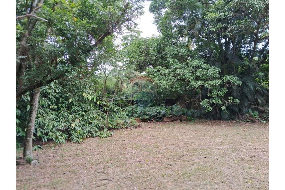 Chácara / Sítio / Fazenda - Venda - Valinhos , São Paulo - foto 10.jpg - 690851076-164