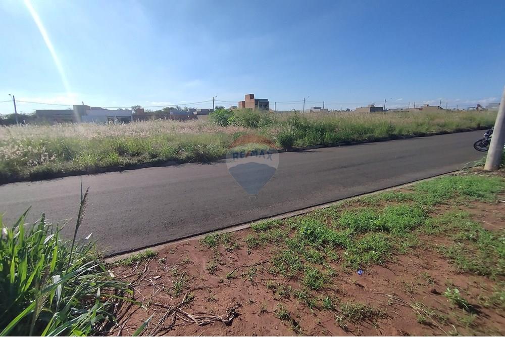 Terreno - Venda - Mogi Guaçu , São Paulo - IMG_20250430_153516.jpg - 690521005-80