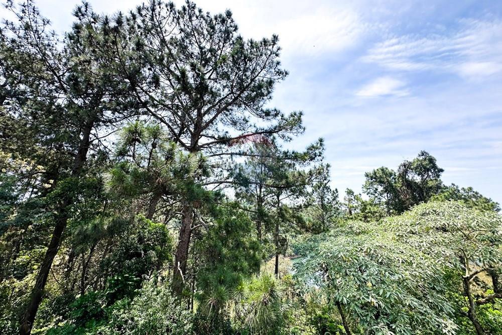 Casa de Condomínio - Venda - Barueri , São Paulo - 019-cb06fc7b-b762-4d36-867f-ccc642321445.jpeg - 690951047-16