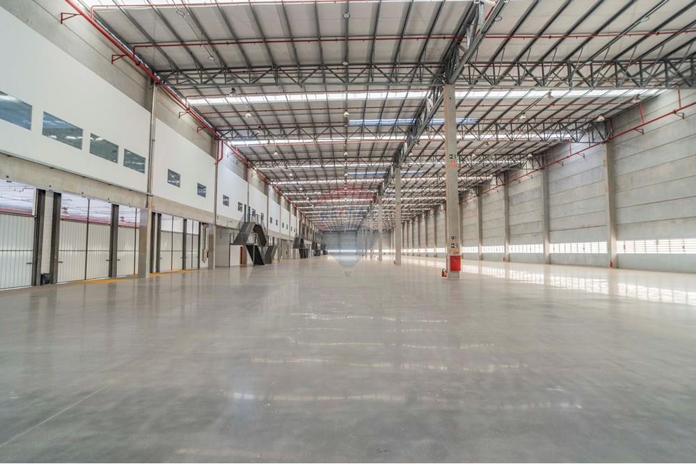 Galpão - Alugar - Sumaré , São Paulo - foto imobiliarias- BRMAKER-12.jpg - 690511297-2