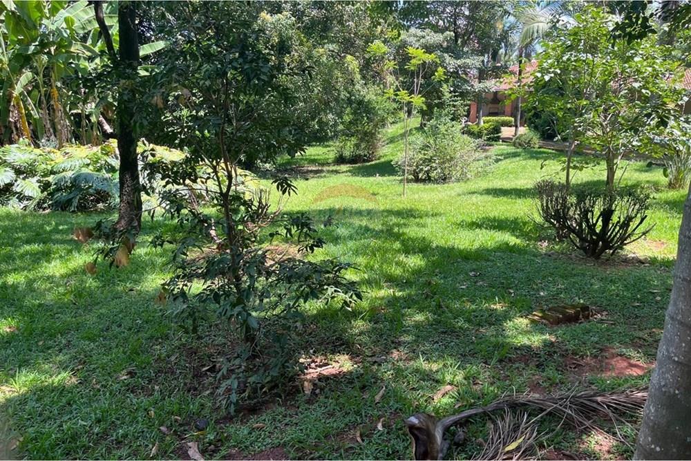 Chácara / Sítio / Fazenda - Venda - Paulínia , São Paulo - WhatsApp Image 2026-01-11 at 16.51.09.jpeg - 691181023-9