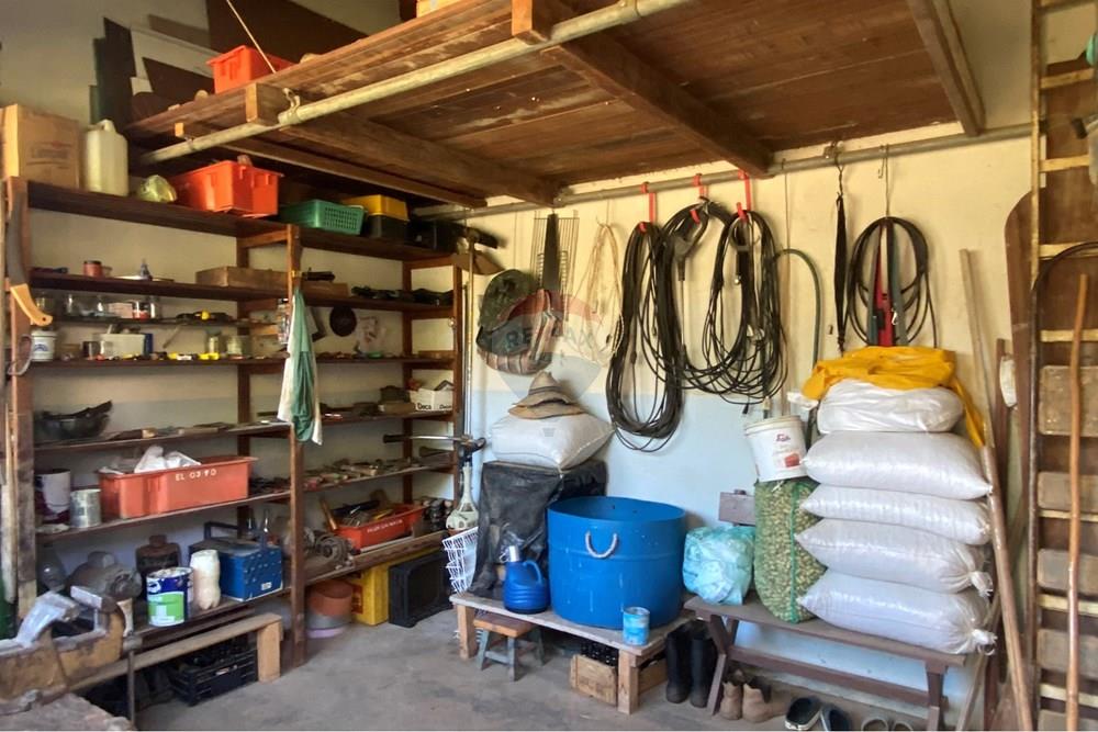 Chácara / Sítio / Fazenda - Venda - Jarinu , São Paulo - Z21.JPEG - 691121003-48