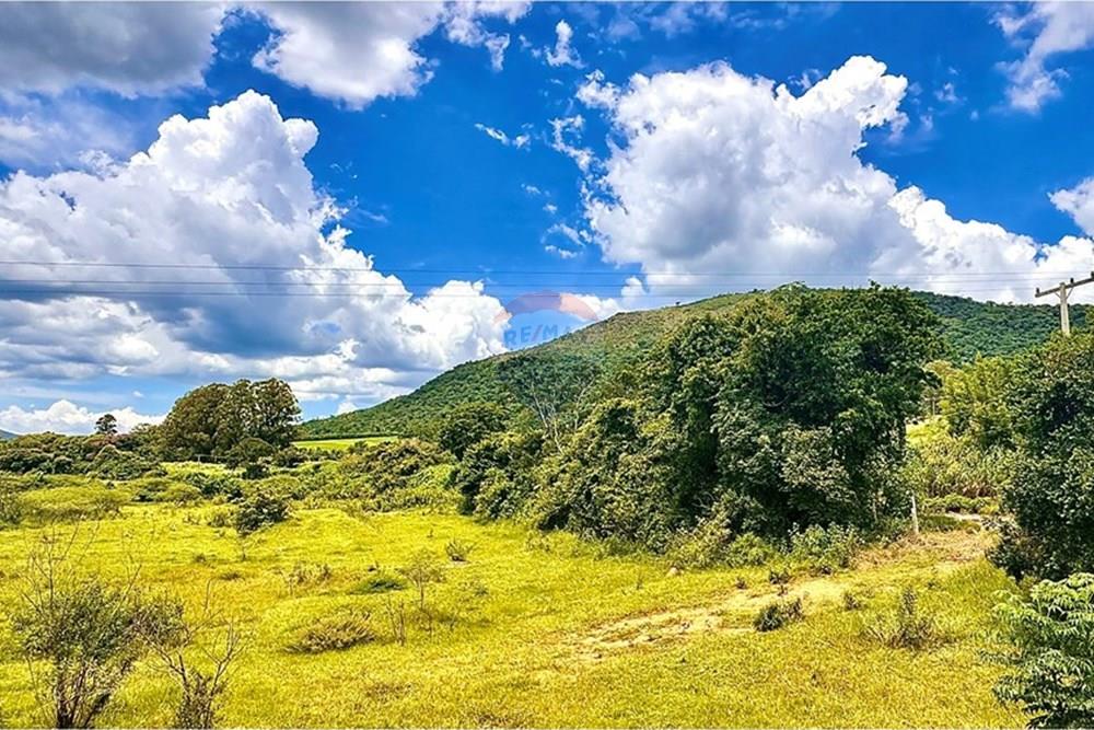 Terreno - Venda - Bragança Paulista , São Paulo - IMG_8976.JPEG - Fachada - 690041040-55