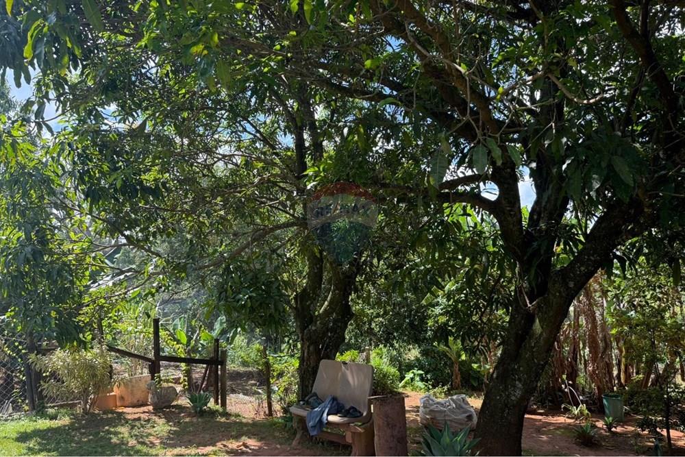 Chácara / Sítio / Fazenda - Alugar - Bragança Paulista , São Paulo - WhatsApp Image 2026-03-04 at 21.10.06 (4).jpeg - 690041127-157