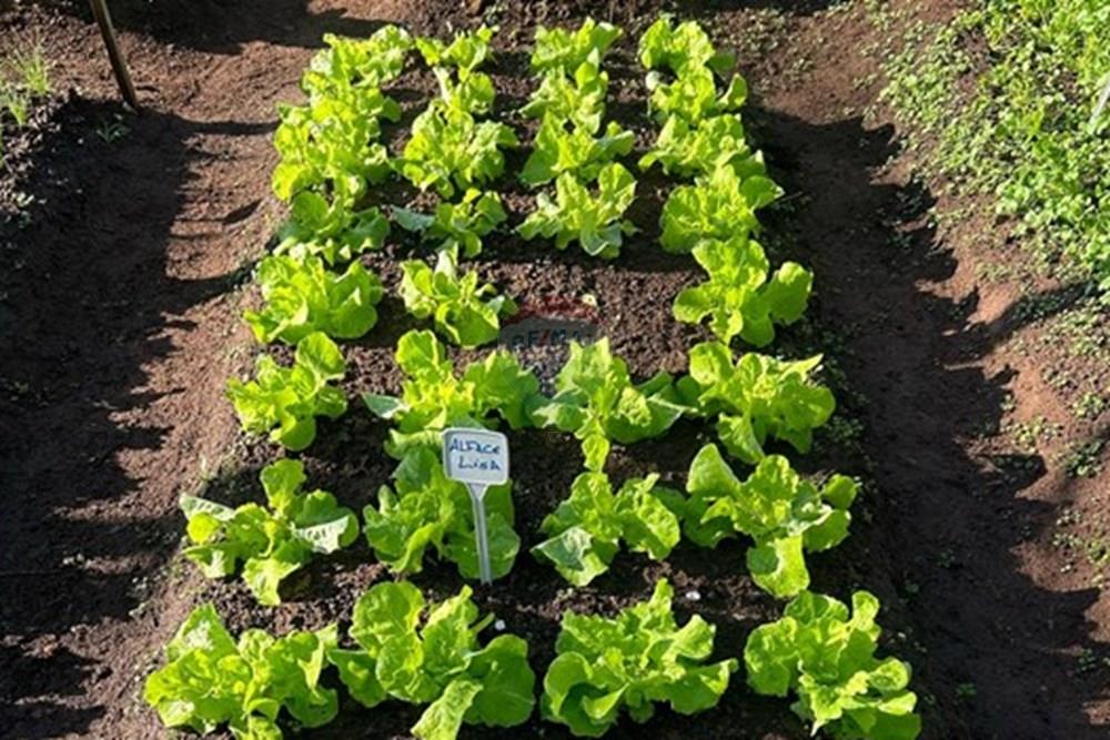 Terreno - Venda - Analândia , São Paulo - 469365842_18340697023197660_3941051335414197945_n.jpg - 690811009-17