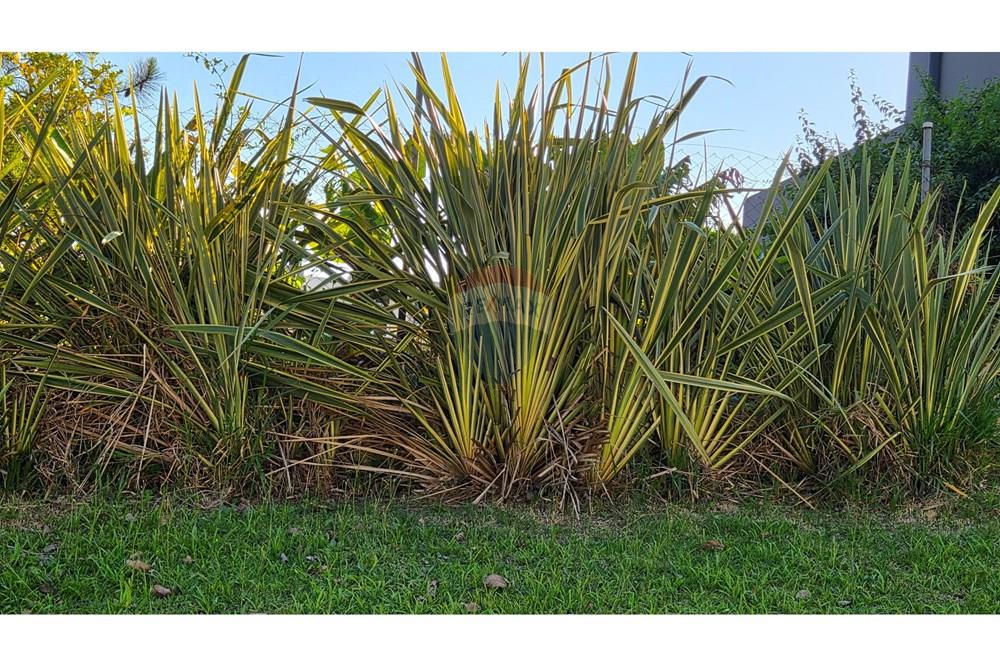 Terreno - Venda - Barueri , São Paulo - 20251111_164059.jpg - 690951041-17