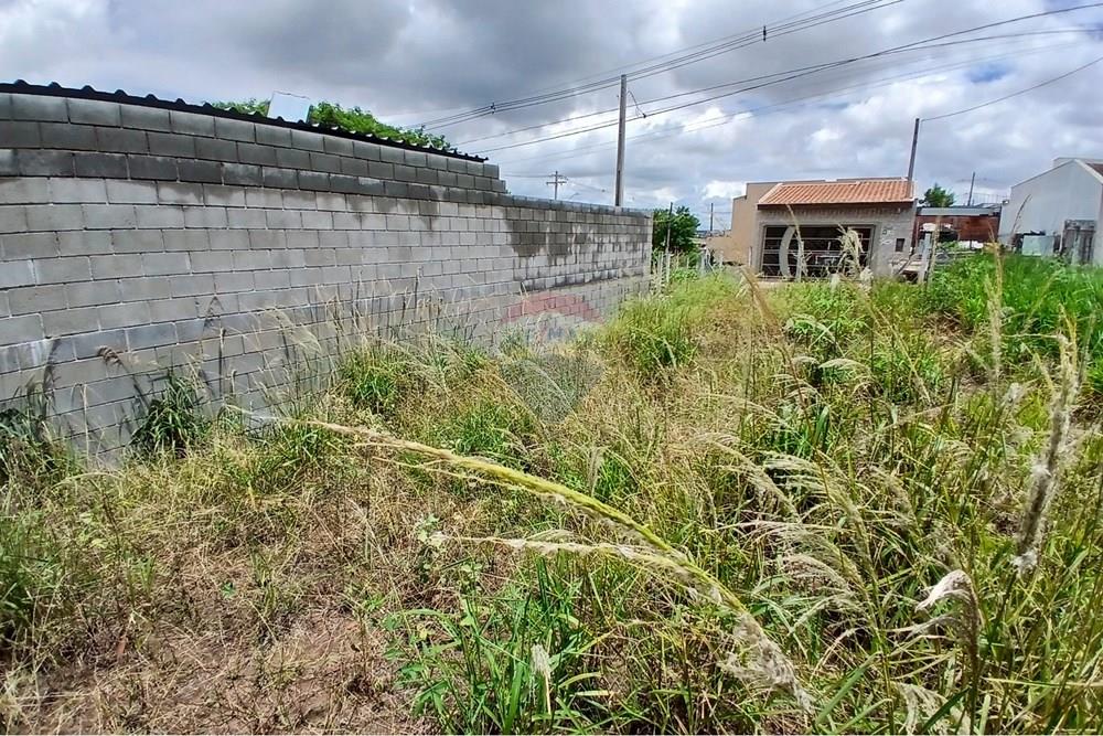 Terreno - Venda - Americana , São Paulo - 20260226_124510.jpg - 691071037-3