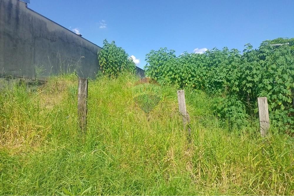 Terreno - Venda - Mogi Mirim , São Paulo - WhatsApp Image 2026-03-04 at 23.28.49.jpeg - 690751108-20