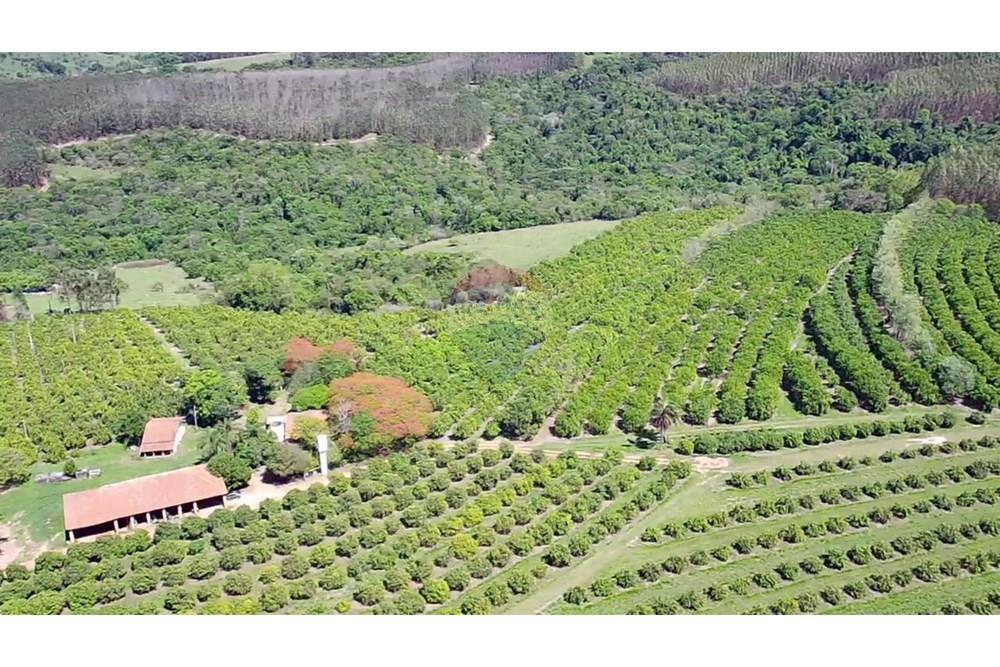 Fazenda - Venda - Analândia , São Paulo - 1299b891-9001-4bb9-aa15-e0a5681a6288.jpg - 690691016-305