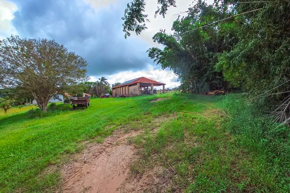 Fazenda - Venda - Analândia , São Paulo - Tratada-20.jpg - 690691016-305