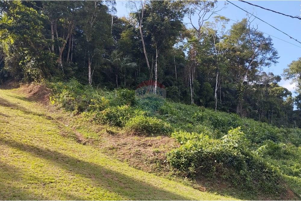 Terreno - Venda - Registro , São Paulo - WhatsApp Image 2025-05-05 at 14.27.11 (1).jpeg - 690061038-4