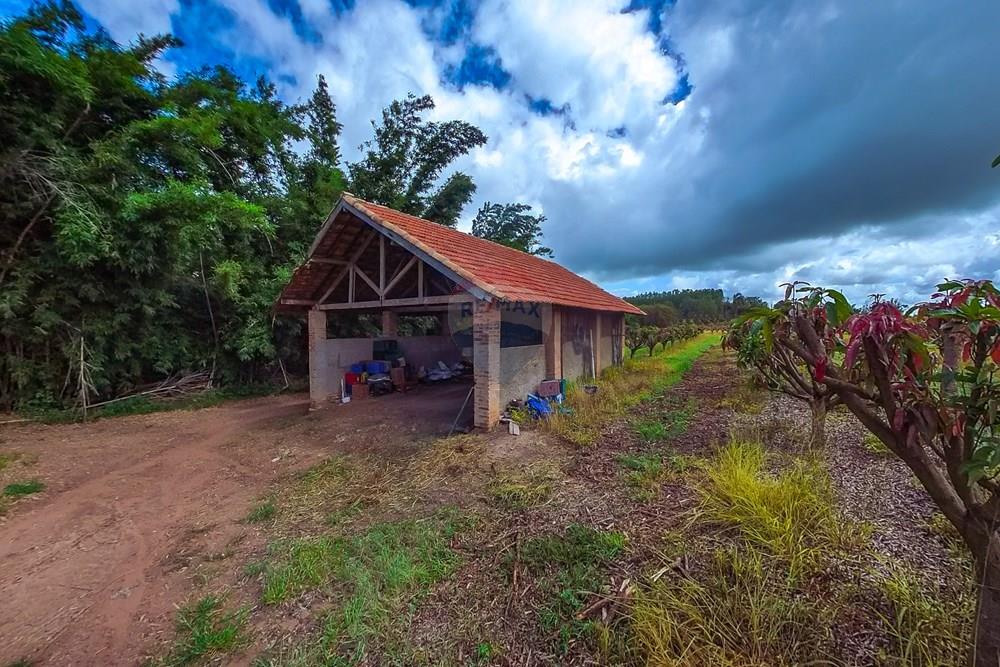 Fazenda - Venda - Analândia , São Paulo - Tratada-24.jpg - 690691016-305