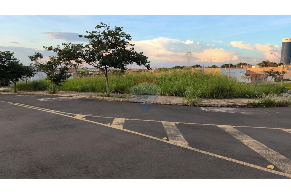 Terreno - Venda - Santa Bárbara d'Oeste , São Paulo - WhatsApp Image 2025-12-25 at 18.35.52.jpeg - 690511333-6