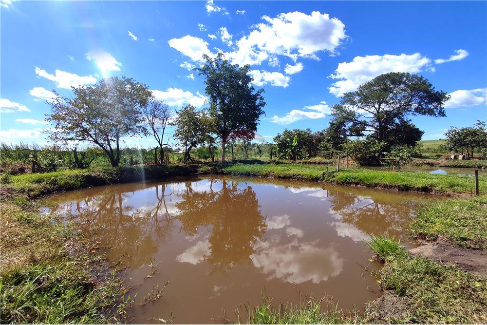 Chácara / Sítio / Fazenda - Venda - Mogi Guaçu , São Paulo - Quintal - 690521015-158