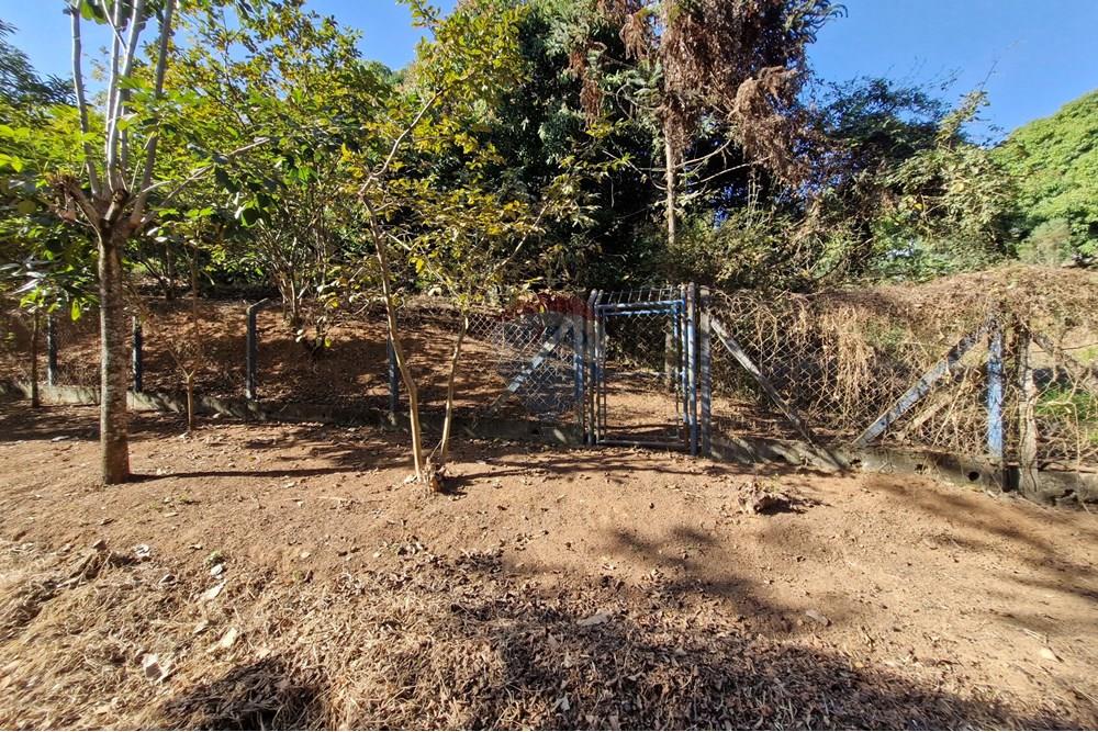 Terreno - Venda - Jaguariúna , São Paulo - 20250814_152106.jpg - Fachada - 690671008-324