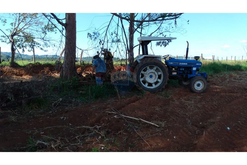 Fazenda - Venda - Campestre , Minas Gerais - cf6c09d3-300c-4a55-87cb-22214a8173df.jpg - 690291077-293