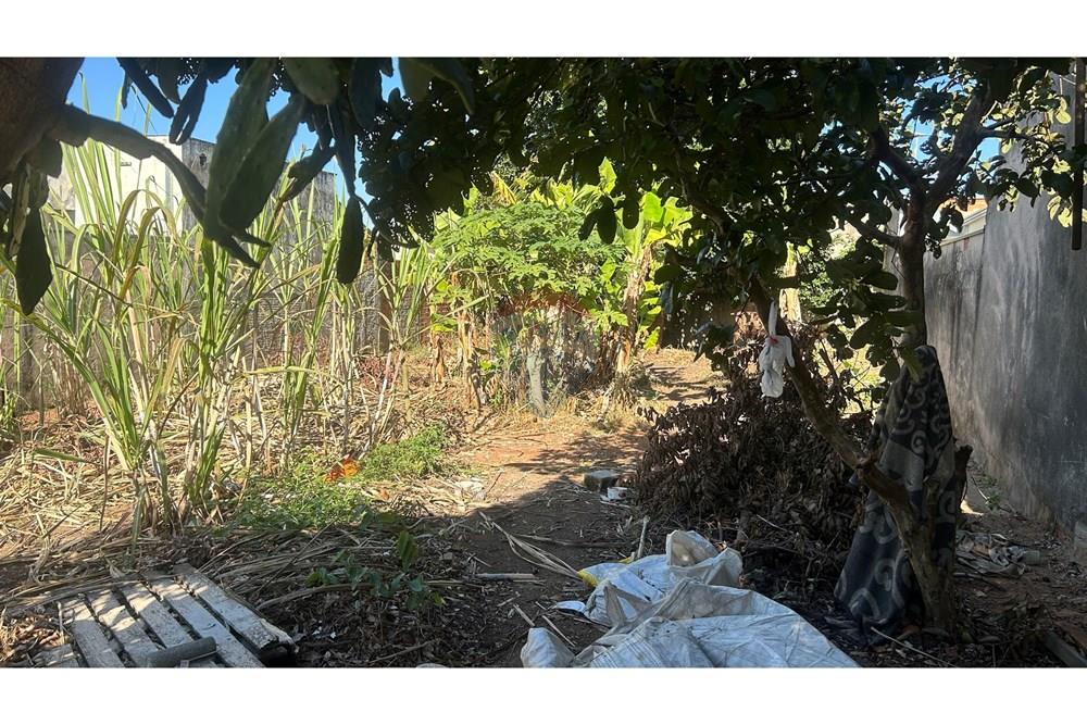 Residential - Κτήμα - Nova Odessa , Σάο Πάολο - BR - IMG_9659.jpg - 690641010-556