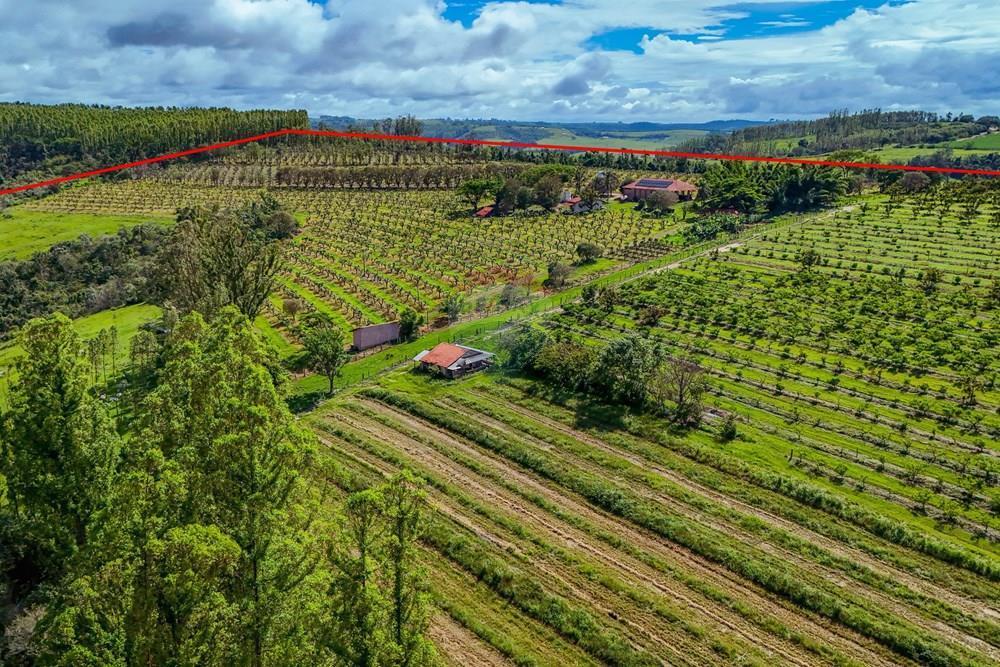Fazenda - Venda - Analândia , São Paulo - Tratada - Drone-83.jpg - 690691016-305
