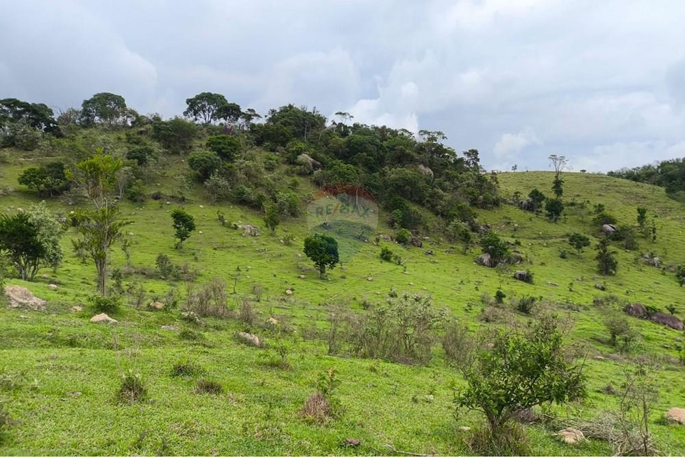 Chácara / Sítio / Fazenda - Venda - Morungaba , São Paulo - WhatsApp Image 2026-02-06 at 16.39.15 (2).jpeg - 691131002-3