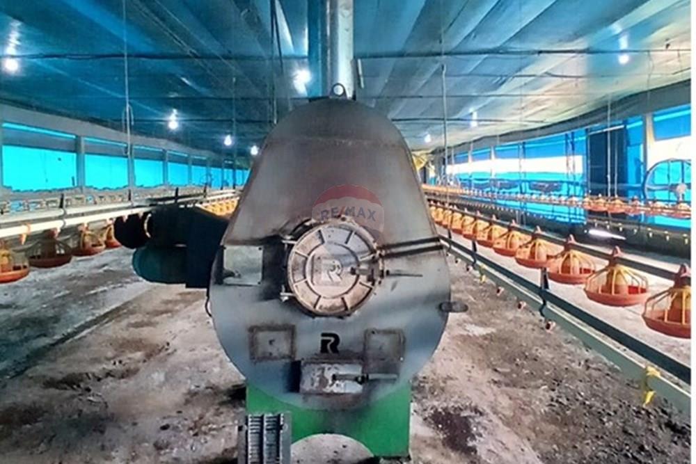 Chácara / Sítio / Fazenda - Venda - Bragança Paulista , São Paulo - 20260213_130522.jpg - 690141085-32