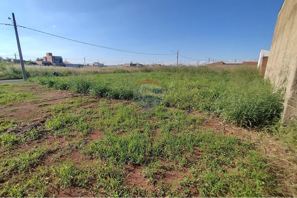 Terreno - Venda - Mogi Guaçu , São Paulo - IMG_20250430_153406.jpg - 690521005-80