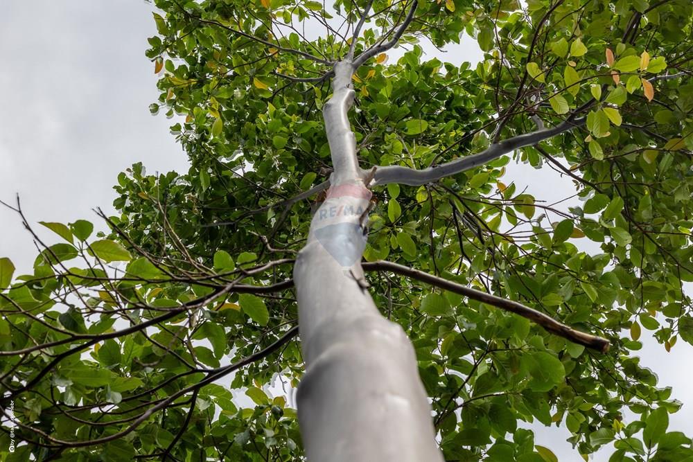 Casa de Condomínio - Venda - Vinhedo , São Paulo - TKD-15002.jpg - 690541036-141
