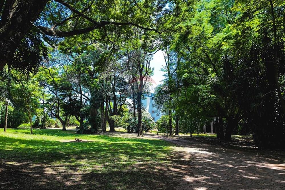Terreno - Venda - Piracicaba , São Paulo - DJI_20250114110308_0005_D (2).jpg - 690041010-95