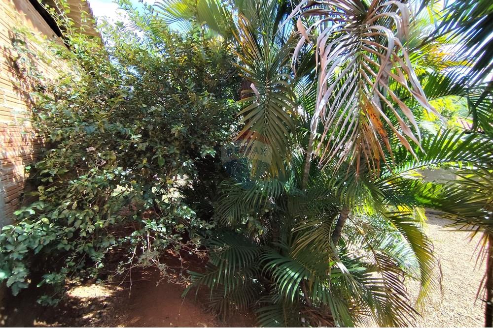 Chácara / Sítio / Fazenda - Venda - Itapira , São Paulo - 1751510168631.jpg - 690291085-364