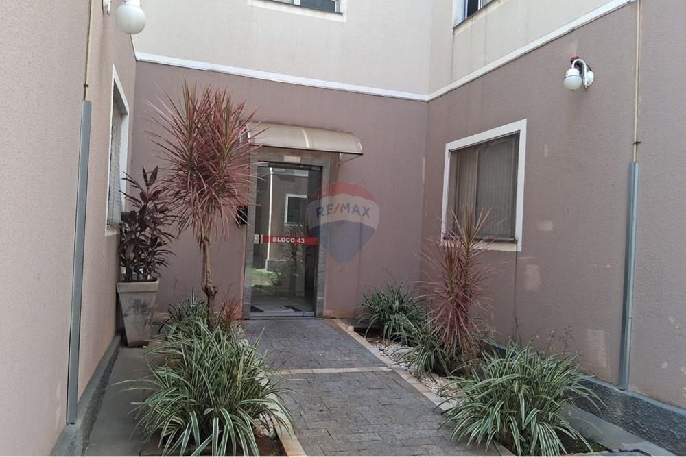 Apartamento - Alugar - Americana , São Paulo - WhatsApp Image 2026-03-21 at 10.33.35 (3).jpeg - 691071051-1