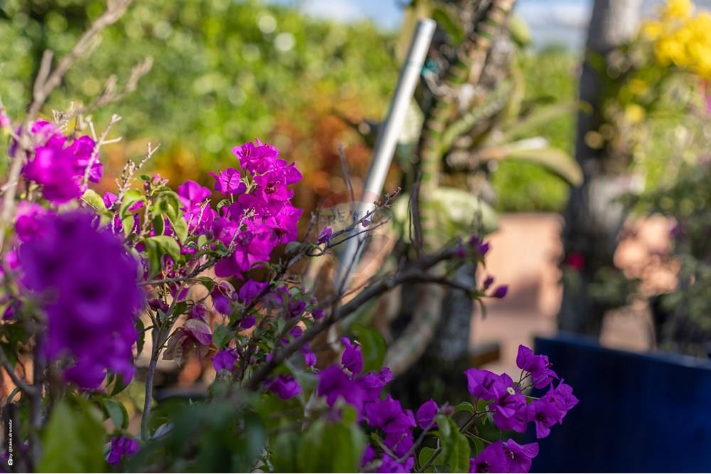 Casa de Condomínio - Venda - Vinhedo , São Paulo - gourmet2 - Copia.jpg - 690941020-66