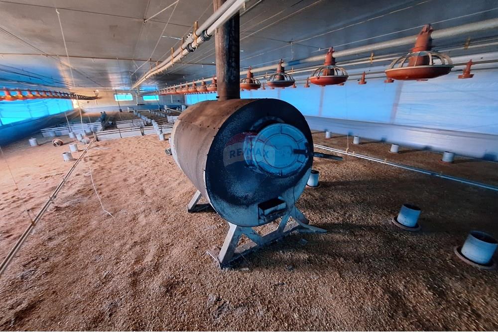 Chácara / Sítio / Fazenda - Venda - Itapira , São Paulo - 20250626_103534.jpg - 690751048-290