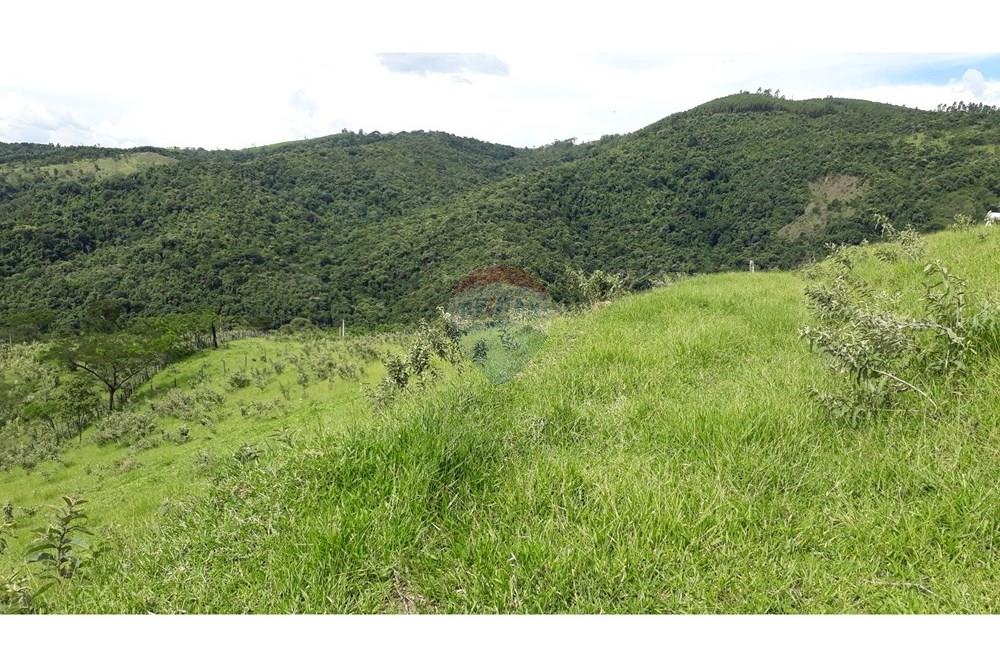 Fazenda - Venda - Serra Negra , São Paulo - 20250211_151737.jpg - 690291056-26