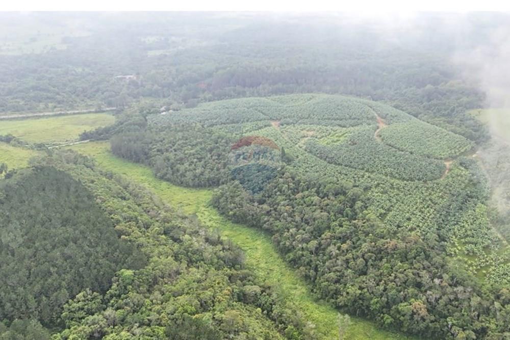 Fazenda - Venda - Jacupiranga , São Paulo - WhatsApp Image 2026-03-02 at 20.10.28 (1).jpeg - 690061037-12