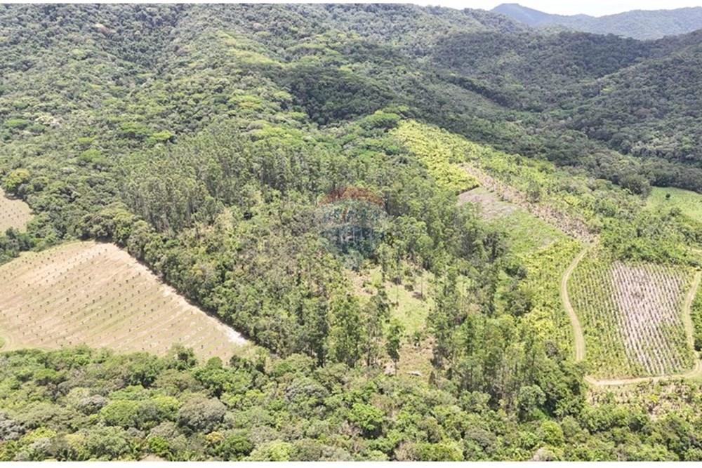 Fazenda - Venda - Pariquera-Açu , São Paulo - WhatsApp Image 2026-03-18 at 16.42.21 (1).jpeg - 690061038-24