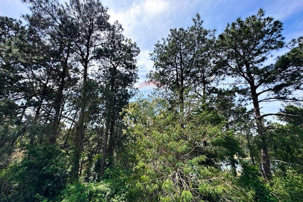 Casa de Condomínio - Venda - Barueri , São Paulo - 030-91c90444-09d3-40bd-b3bb-a608ee11689b.jpeg - 690951047-16