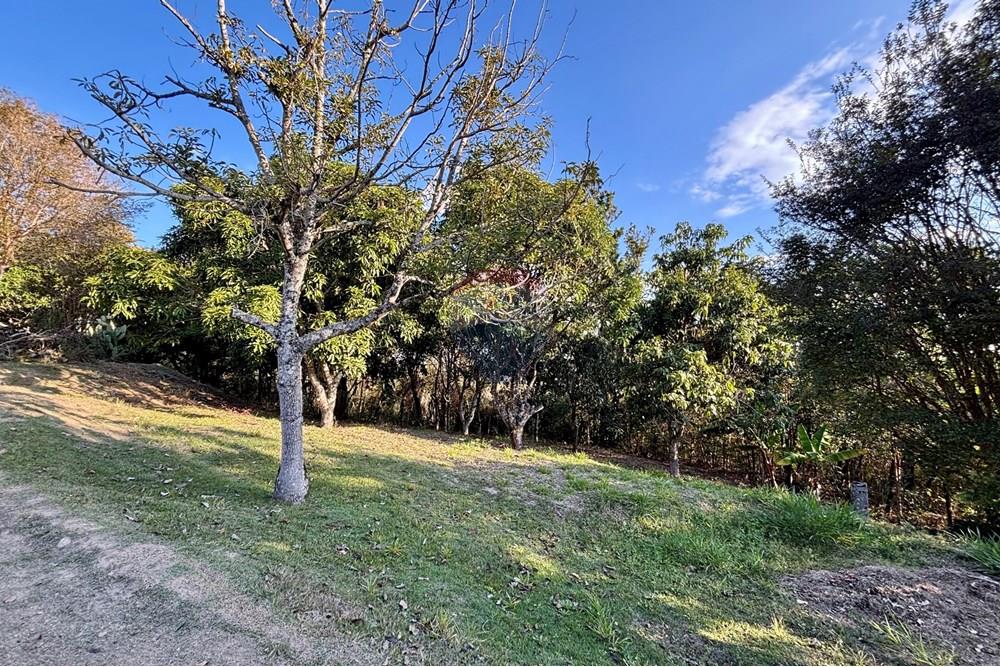 Chácara / Sítio / Fazenda - Venda - Atibaia , São Paulo - IMG_7908.jpg - 690661027-125