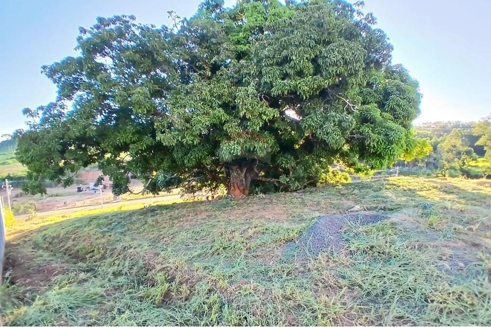 Chácara / Sítio / Fazenda - Venda - Itapira , São Paulo - WhatsApp Image 2025-04-22 at 08.34.39 (2).jpeg - 690291039-40