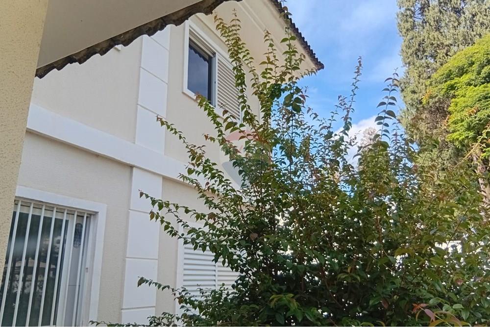 Kitnet - Alugar - Campinas , São Paulo - WhatsApp Image 2026-01-08 at 17.27.00.jpeg - 690331002-268