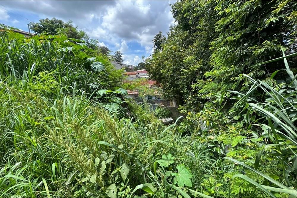 Terreno - Venda - Bragança Paulista , São Paulo - 12.jpeg - 690041085-103