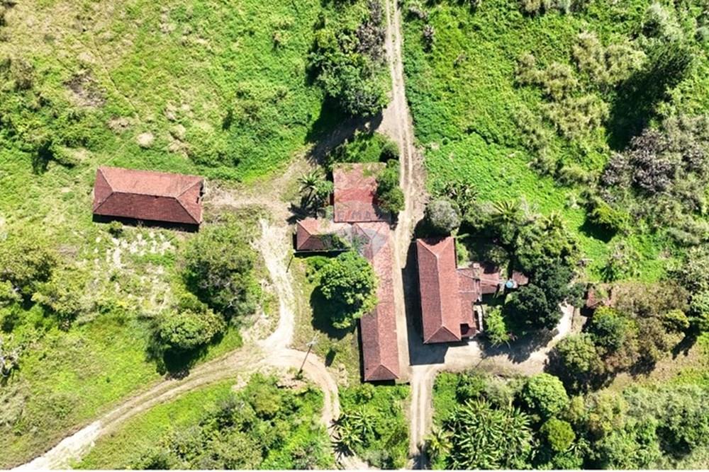 Fazenda - Venda - Miracatu , São Paulo - WhatsApp Image 2025-05-20 at 13.34.10.jpeg - 690061038-9