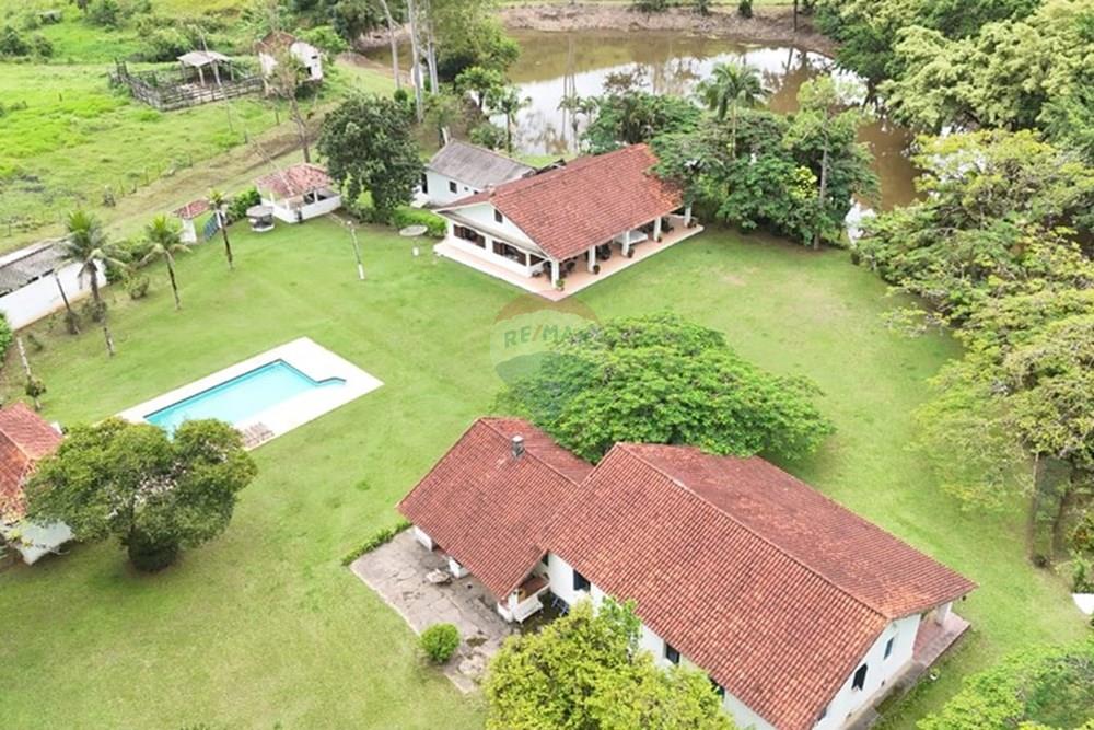 Fazenda - Venda - Miracatu , São Paulo - WhatsApp Image 2025-04-10 at 13.48.47 (1).jpeg - 690061038-2