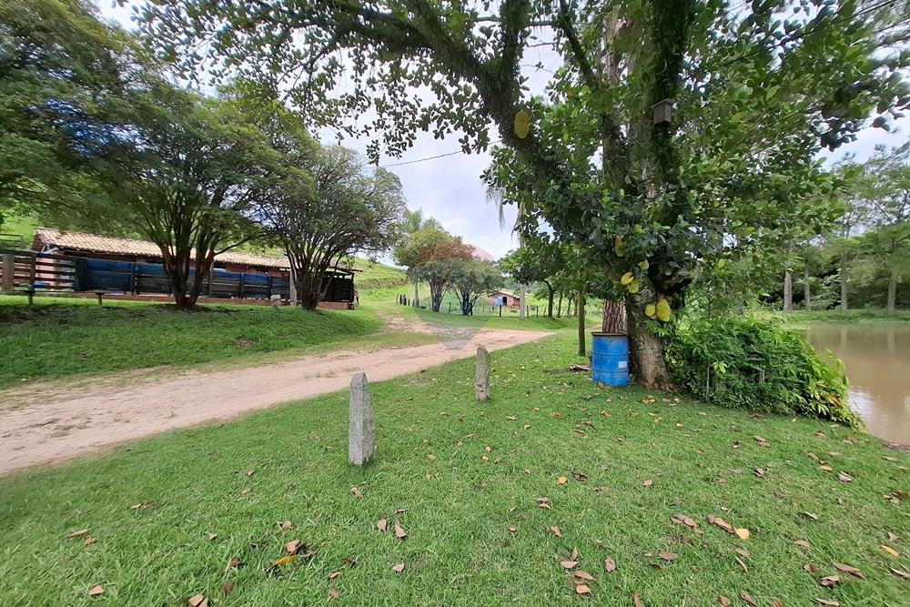 Chácara / Sítio / Fazenda - Venda - Amparo , São Paulo - 20260121_140835.jpg - 690681090-49
