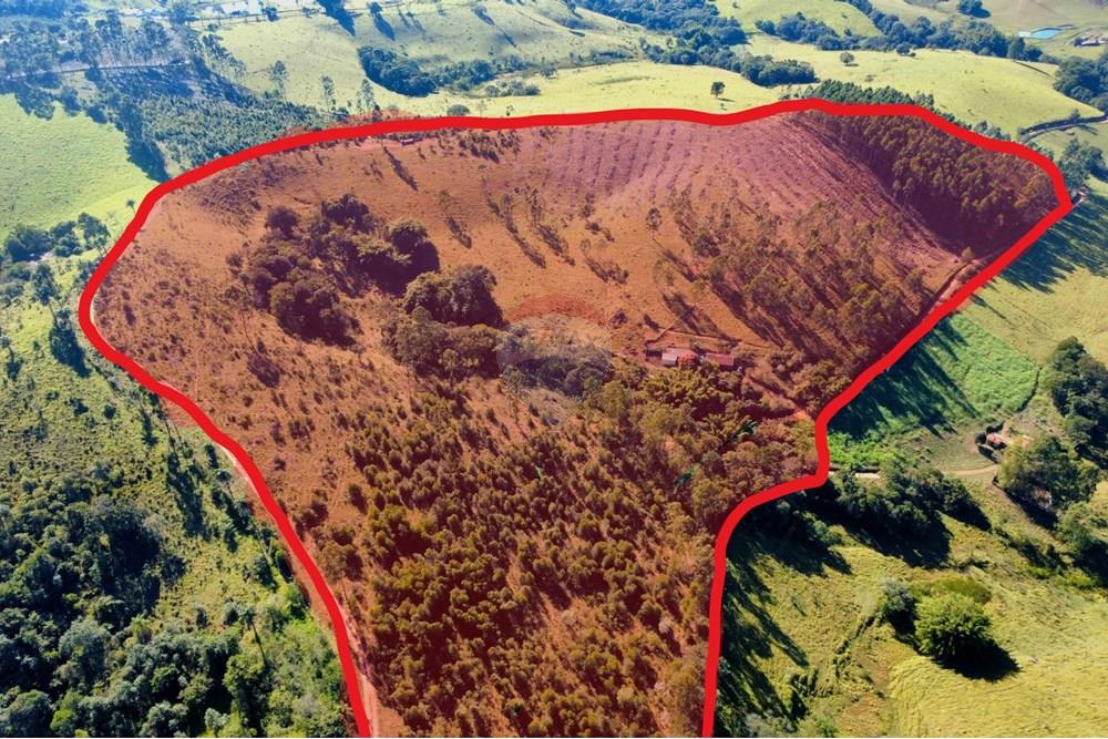 Chácara / Sítio / Fazenda - Venda - Socorro , São Paulo - FOTO(4).jpg - 690291056-39