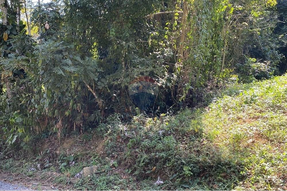 Terreno - Venda - Registro , São Paulo - Imagem do WhatsApp de 2025-09-03 à(s) 13.09.32_f96752f1.jpg - 690061045-8