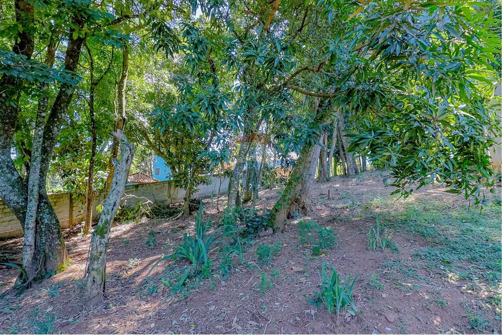 Terreno - Venda - Atibaia , São Paulo - RINF-11.jpg - 690921066-43