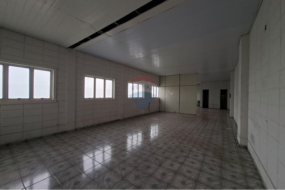 Galpão - Alugar - Mogi Mirim , São Paulo - 20251028_153744.jpg - 690751049-275