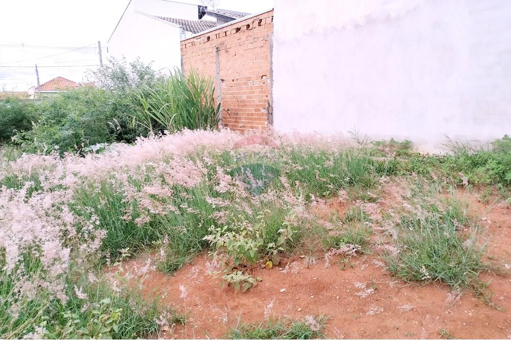 Terreno - Venda - Itapira , São Paulo - 1766266243090.jpg - 690291069-12