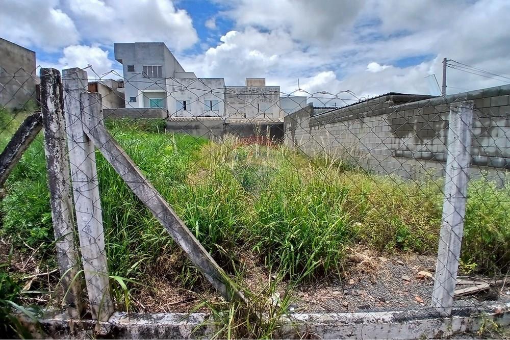 Terreno - Venda - Americana , São Paulo - 20260226_124337.jpg - 691071037-3