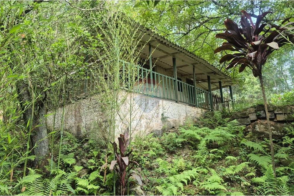 Chácara / Sítio / Fazenda - Venda - Atibaia , São Paulo - FotoJ.jpeg - 690791148-26